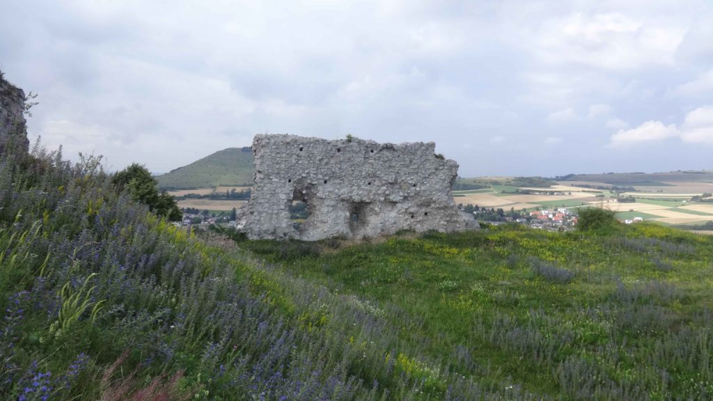 Ruine Flochberg (19)