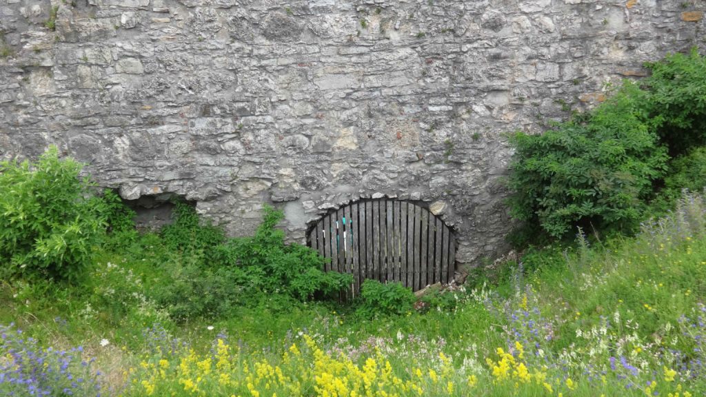 Ruine Flochberg (31)